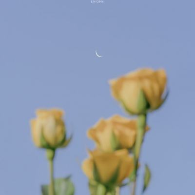 冒险王2手游果盘版下载